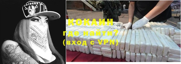 гашик Заводоуковск