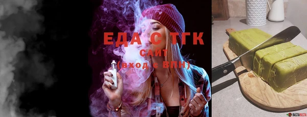 мдпв Ельня