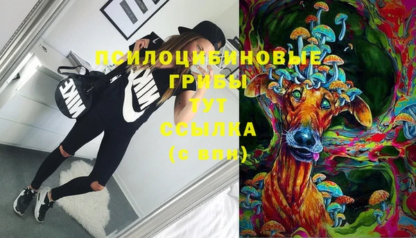 гашик Заводоуковск