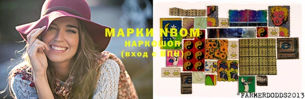 гашик Заводоуковск