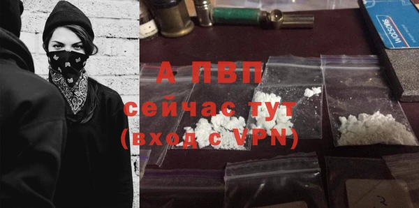 гашик Заводоуковск